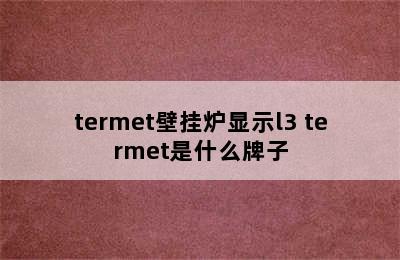 termet壁挂炉显示l3 termet是什么牌子